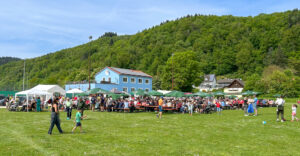 Fischerfest Bach an der Donau